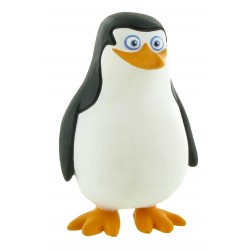 99939 PRIVATE MADAGASCAR