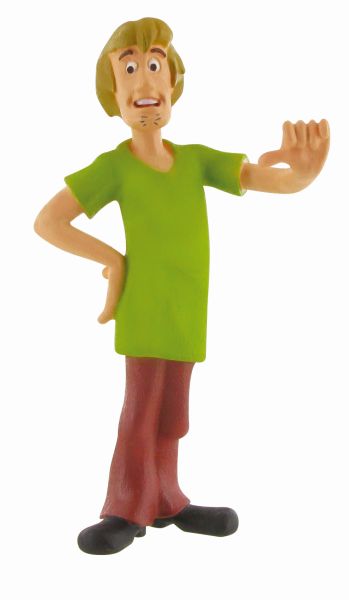 99604 SHAGGY