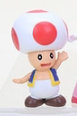 Toad Mini