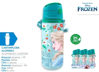 CANTIMPLORA ALUM CON ASA 600ML FROZEN