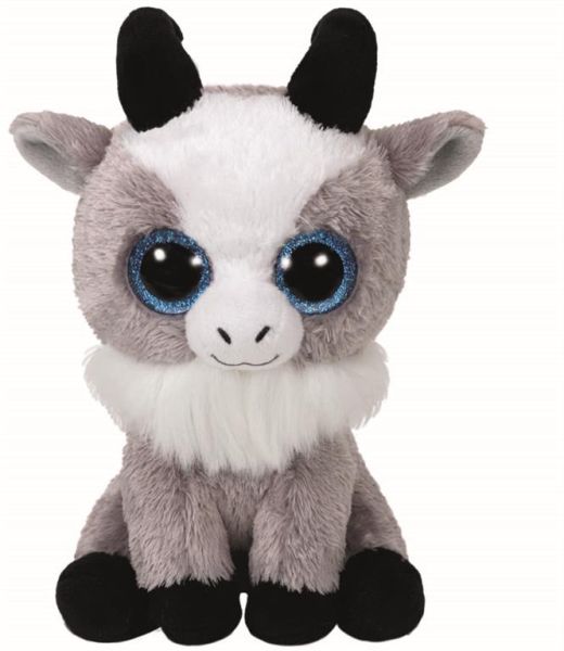 Gabby - Goat