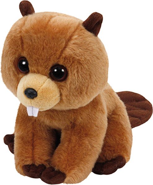 Richie -  Beaver