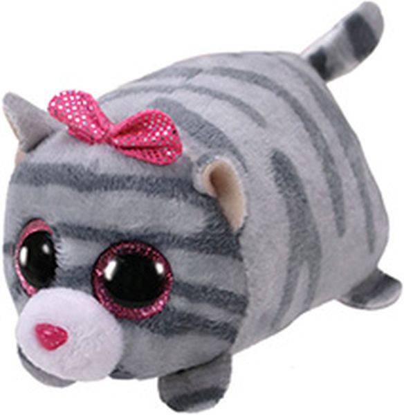 CASIE - grey cat
