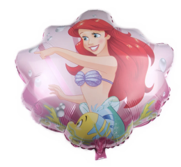 ARIEL CONCHA