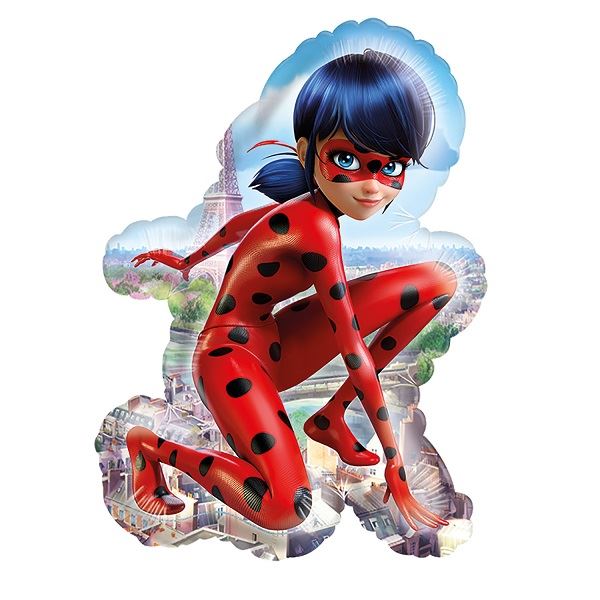*FOR (P38) LADYBUG 16/41CM X 23/58CM