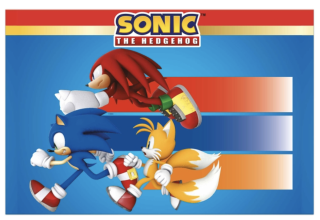 MANTEL PLASTICO 120X180CM SONIC (1UND)