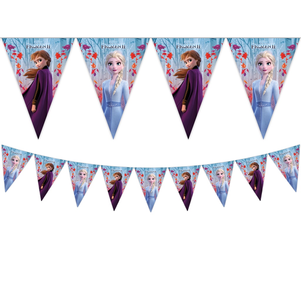 GUIRNALDA FROZEN 2